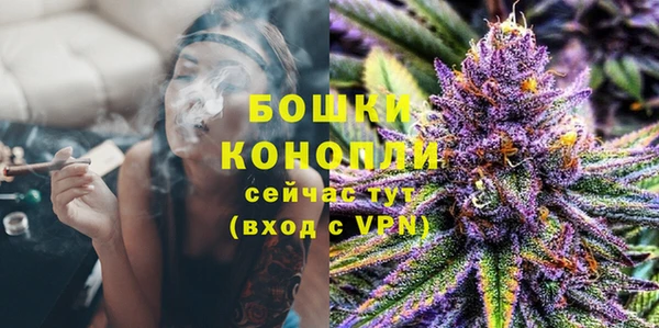 мескалин Заводоуковск