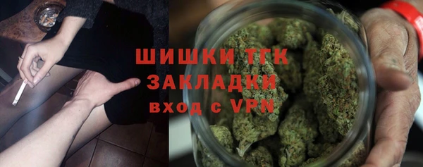 индика Заволжск