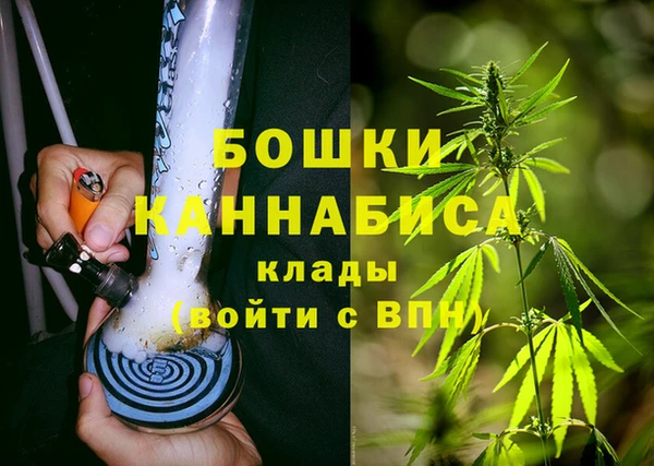 мескалин Заводоуковск