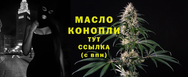 индика Заволжск