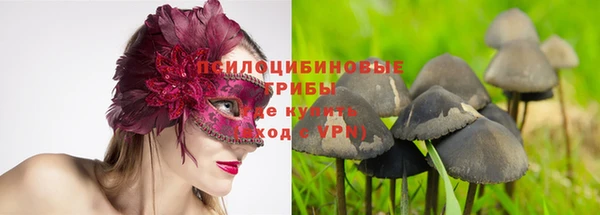 мескалин Заводоуковск