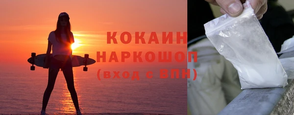 индика Заволжск