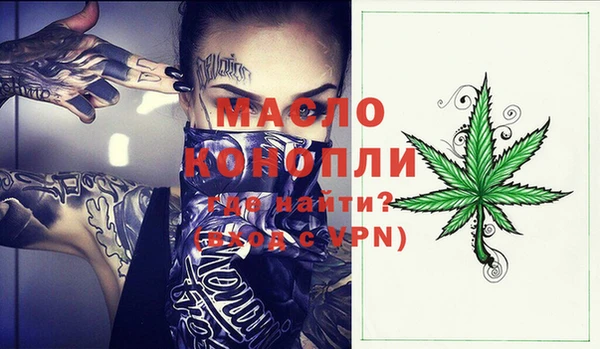 индика Заволжск