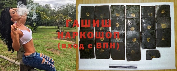 индика Заволжск