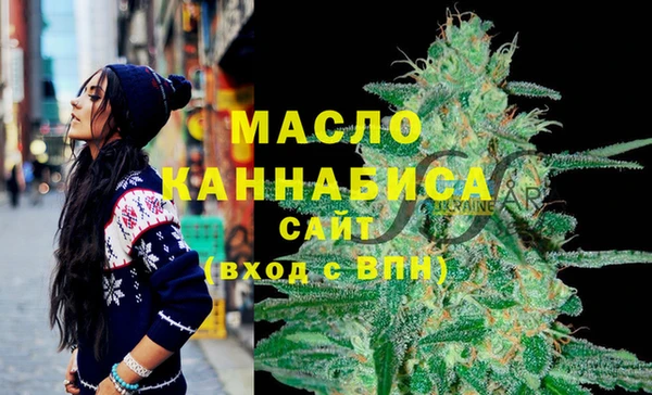индика Заволжск