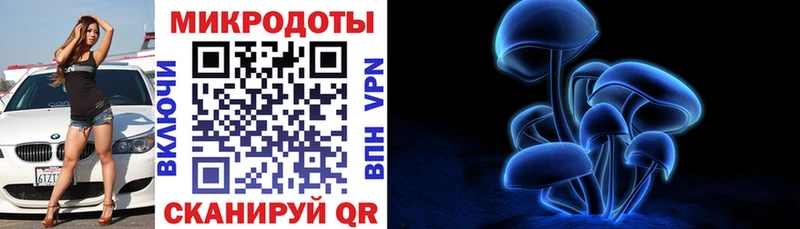 Галлюциногенные грибы мухоморы  Купить закладки  Дубовка 